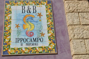 Гостиница Ippocampo B&B, Ликата